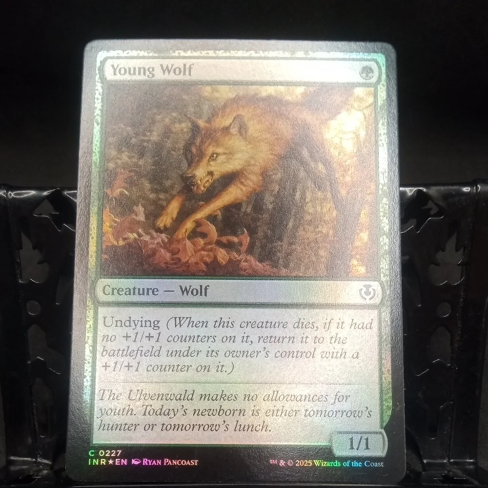 Magic: The Gathering 2 Young Wolf Cards